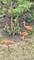 8316 Redtail, Lakewood, IL 60014