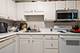 211 E Ohio Unit 817, Chicago, IL 60611