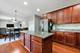 21042 Lakewoods, Shorewood, IL 60404