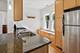1733 W Balmoral Unit 3A, Chicago, IL 60640