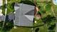2317 Barrett, Algonquin, IL 60102