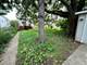 1338 Oak Park, Berwyn, IL 60402
