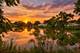 1146 Blackhawk, Schaumburg, IL 60193