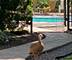1214 Lantern, New Lenox, IL 60451