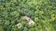 1214 Lantern, New Lenox, IL 60451