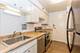 1101 Grove Unit 4A, Evanston, IL 60201