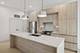 3409 N Bosworth Unit 1W, Chicago, IL 60657