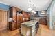 227 S Euclid, Oak Park, IL 60302
