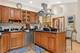 9431 Karlov, Skokie, IL 60076