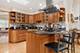 9431 Karlov, Skokie, IL 60076