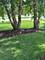 1910 Parkside, Sycamore, IL 60178