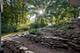 5N662 Forest Glen, St. Charles, IL 60175