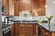 1109 W Belmont Unit 4, Chicago, IL 60657
