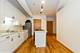 910 S Michigan Unit 1306, Chicago, IL 60605