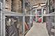 3930 N Pine Grove Unit 1710, Chicago, IL 60613