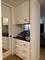 1 E Scott Unit 1707, Chicago, IL 60610