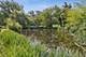 1330 Maple, Downers Grove, IL 60515