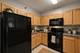 410 W Mahogany Unit 408, Palatine, IL 60067