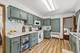 35 Woodland, Elgin, IL 60123
