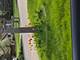 570 W Crockett, Elmhurst, IL 60126