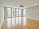 1008 N Larrabee Unit 3S, Chicago, IL 60610