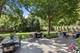 2309 Larkdale, Glenview, IL 60025