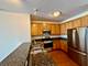 1600 S Prairie Unit 1006, Chicago, IL 60616