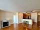 1600 S Prairie Unit 1006, Chicago, IL 60616