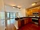 1600 S Prairie Unit 1006, Chicago, IL 60616