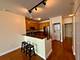 1600 S Prairie Unit 1006, Chicago, IL 60616