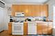 841 W Belle Plaine Unit 3, Chicago, IL 60613