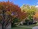 1963 Ammer Ridge Unit 102, Glenview, IL 60025