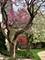 1963 Ammer Ridge Unit 102, Glenview, IL 60025
