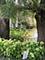 1963 Ammer Ridge Unit 102, Glenview, IL 60025