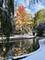 1963 Ammer Ridge Unit 102, Glenview, IL 60025