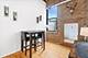 3201 N Seminary Unit 207, Chicago, IL 60657