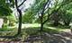 6517 S Carpenter, Chicago, IL 60621
