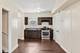 8725 S Constance, Chicago, IL 60617