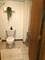 100 Red Top Unit 303, Libertyville, IL 60048