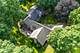 39 Wiltshire, Lincolnshire, IL 60069