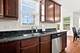 1425 S Saddlebrook, Minooka, IL 60447
