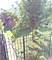 3000 W 38th, Chicago, IL 60632