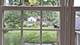 2306 Buckingham, Westchester, IL 60154