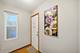 1332 N Harding, Chicago, IL 60651