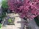 2230 W Augusta Unit G, Chicago, IL 60622