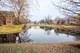 1344 Mcdowell Unit 204, Naperville, IL 60563
