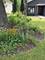 26279 N Hickory, Mundelein, IL 60060