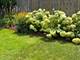 26279 N Hickory, Mundelein, IL 60060