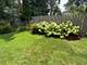 26279 N Hickory, Mundelein, IL 60060