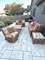 26279 N Hickory, Mundelein, IL 60060